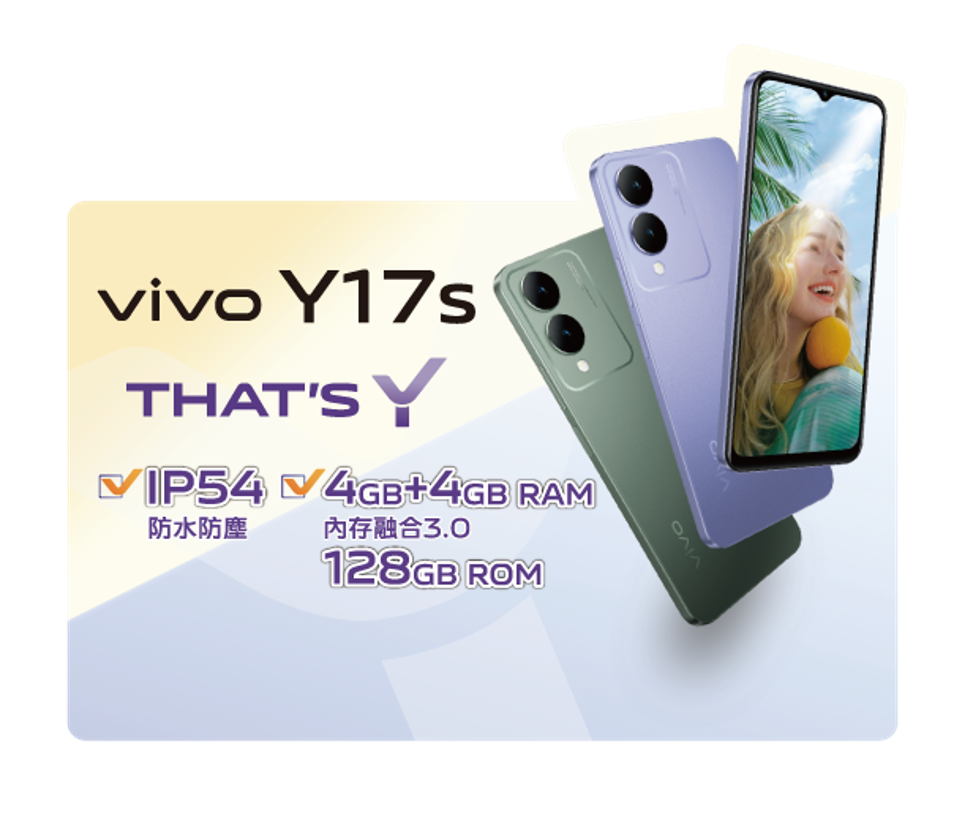 VIVO Y17s